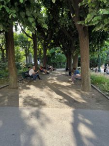 Tree Plating in Paris